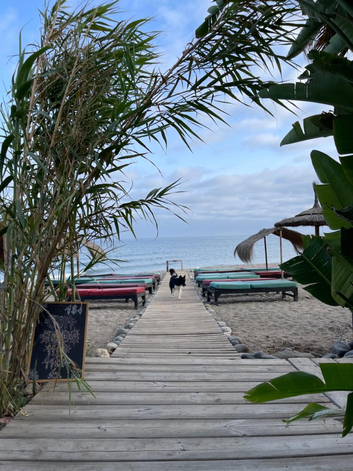 Appartement Beachfront Escape Estepona